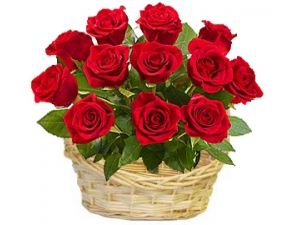Romantic Rose - 12 Stems Basket