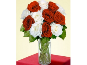 Hugs and Kisses - 12 Stems Vase