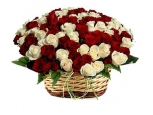 Best Wishes Roses - 36 Stems Basket