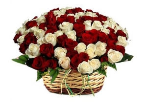 Best Wishes Roses - 36 Stems Basket