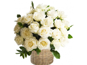 Stunning Roses - 24 Stems in Basket