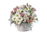 Charming Roses and Daisies in Basket