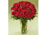 Ruby Roses - 24 Stems Vase
