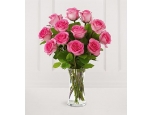 Wonderful Pink - 12 Stems Vase