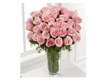 Pink Princess - 36 Stems In Vase