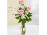 Finesh - 3 Stems In Vase