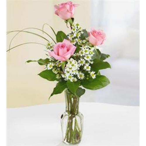 Finesh - 3 Stems In Vase