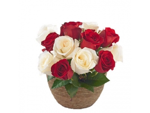 Always Love - 12 Stems Basket