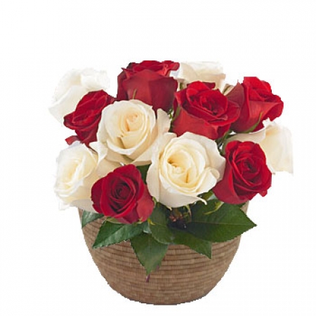 Always Love - 12 Stems Basket