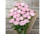 Pink Princess - 36 Stems In Bouquet