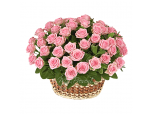 Mermaid Magic - 24 Stems Basket