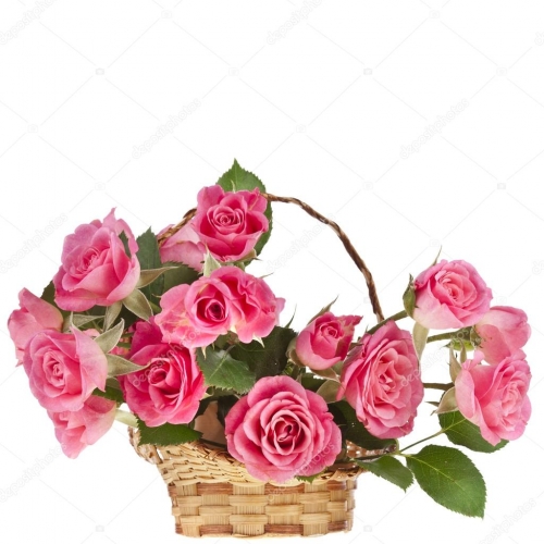 Wonderful Pink - 12 Stems Basket