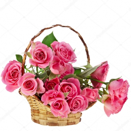 Pink Stunning - 12 Stems  Basket