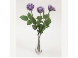 Popping Purple - 3 Stems Vase