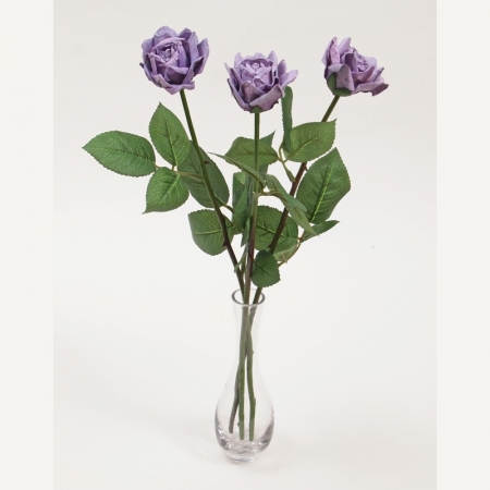 Popping Purple - 3 Stems Vase