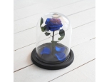 FOREVER BLUE ROSE IN GLASS DOME