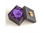 FOREVER PURPLE IN A BOX