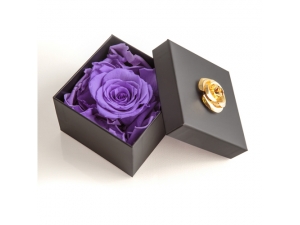 FOREVER PURPLE IN A BOX