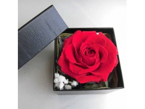 FOREVER RED ROSE IN A BOX