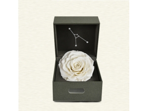 FOREVER WHITE ROSE IN A BOX