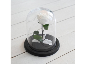 FOREVER WHITE ROSE IN GLASS DOME