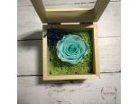 PRESERVED TURQUOISE ROSE IN A BOX