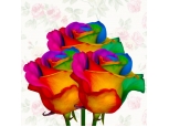 Rainbow Rose 3pc