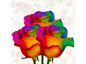 Rainbow Rose 3pc