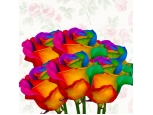 Rainbow Rose 6pcs