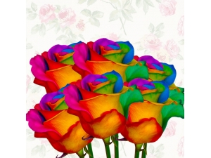 Rainbow Rose 6pcs
