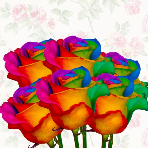 Rainbow Rose 6pcs