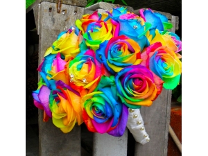 Rainbow Rose 1 Dozen