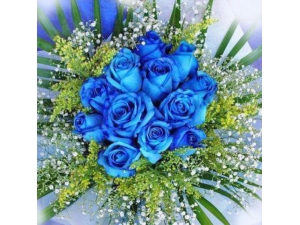 Out of the Blue - 12 Stems Bouquet
