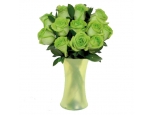 Green Royal - 12 Stems In Vase