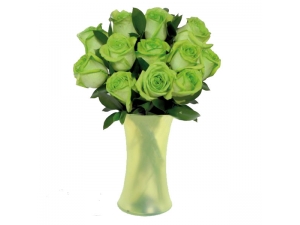 Green Royal - 12 Stems In Vase
