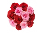 Gorgeous Combination - 12 Stems Bouquet