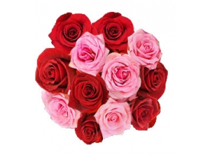 Gorgeous Combination - 12 Stems Bouquet