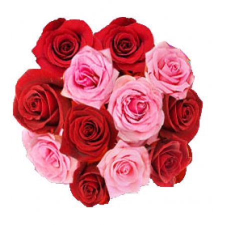 Gorgeous Combination - 12 Stems Bouquet
