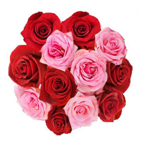 Gorgeous Combination - 12 Stems Bouquet