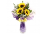 Smiling Sun - 3 Stems