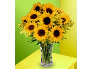Sunflowers - 12 Stems in Vase