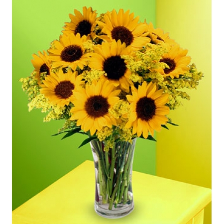 Sunflowers - 12 Stems in Vase