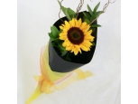 Single Sunflowers