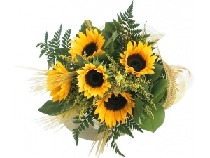Fall Sunflowers - 5 Stems