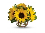 Cheery - 4 Stems