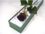 Luxurious Black - 1 Stem Bouquet