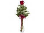 One and Only - 1 Stem Vase