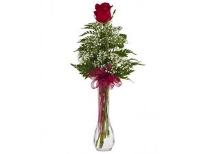 One and Only - 1 Stem Vase
