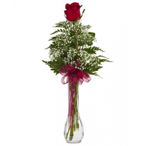 One and Only - 1 Stem Vase