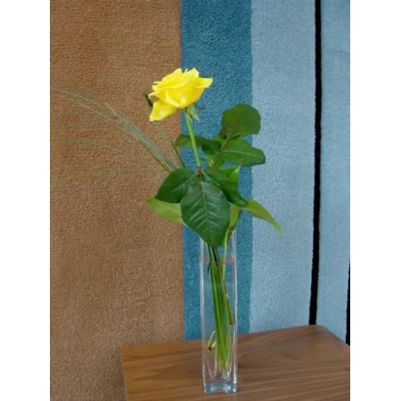 Just Because - 1 Stem Vase